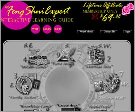 fengshuiexpert101.com