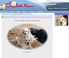 SandDollarRetrievers.com